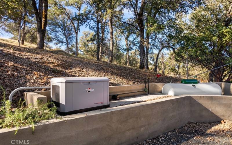 Whole house generator and propane tank.