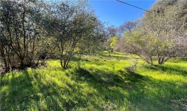 13161 Country Club Drive, Clearlake, California 95422, ,Land,Buy,13161 Country Club Drive,LC22047768
