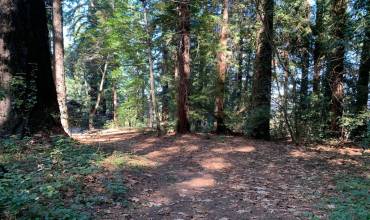 0 Santa Ana Road, Los Gatos, California 95033, ,Land,Buy,0 Santa Ana Road,ML81913737