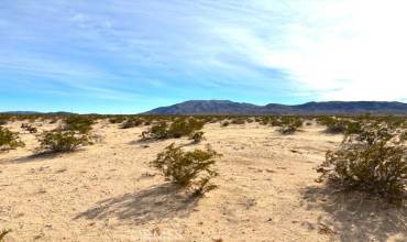 0 Primrose Lane, 29 Palms, California 92277, ,Land,Buy,0 Primrose Lane,JT24004290