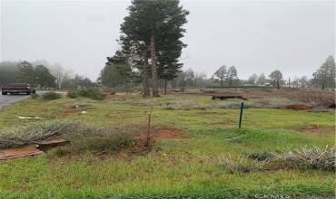 13949 Cascade Drive, Magalia, California 95954, ,Land,Buy,13949 Cascade Drive,SN24044823