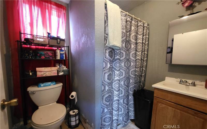 Converted Garage Bathroom