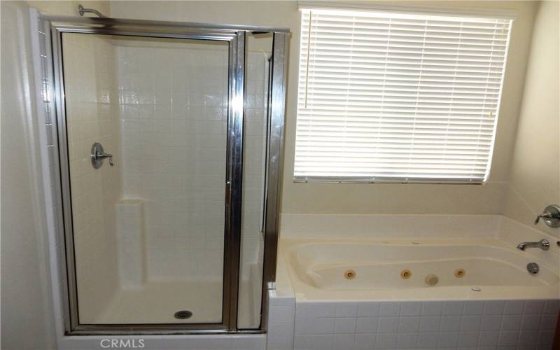 Jetted tub and separate shower.