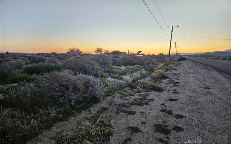 Neighboring properties of Lot#2 view from Backus Road facing North.