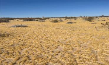 5 Mi N/O Shadow Mt Road, Adelanto, California 92301, ,Land,Buy,5 Mi N/O Shadow Mt Road,PW23140418