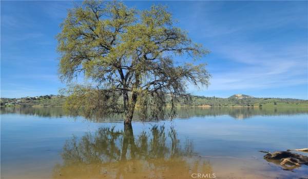 March 25th Lake at 794' elevation