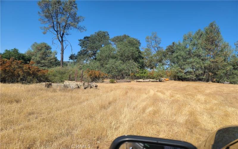 Level area near old cabin, just off Allen Road