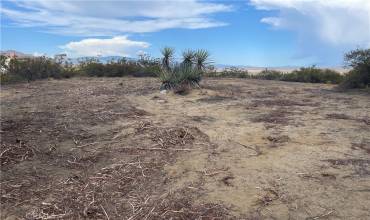 0 743 Mountain Springs, Aguanga, California 92536, ,Land,Buy,0 743 Mountain Springs,SW22204051