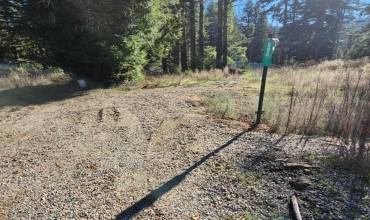 894 Stewart Street, Boulder Creek, California 95006, ,Land,Buy,894 Stewart Street,ML81949745