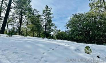 8 Saunders Meadow Rd, Idyllwild, California 92549, ,Land,Buy,8 Saunders Meadow Rd,240005149SD