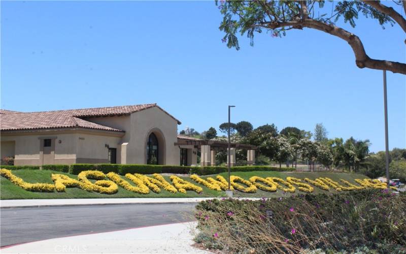 Laguna Woods Village has much to offer!