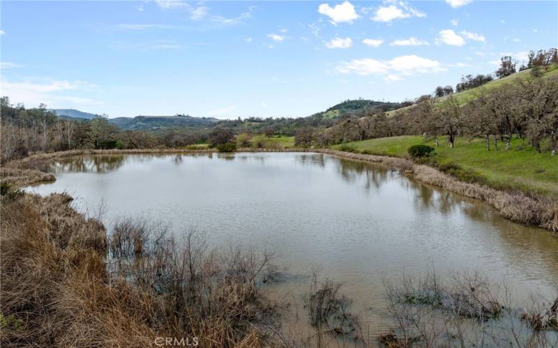 Community pond