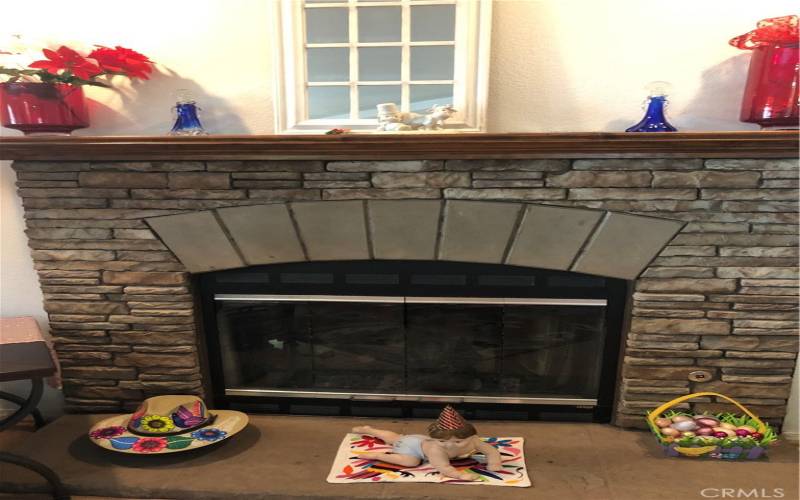 Fireplace with Gas