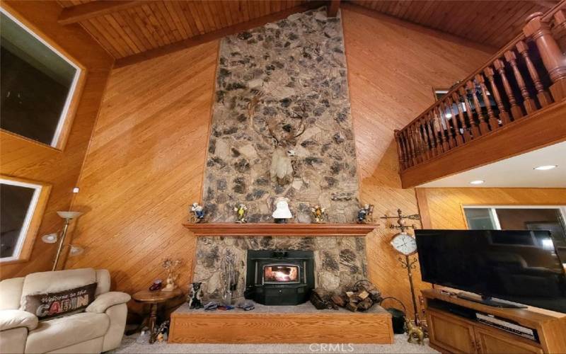 Living Room Fireplace
