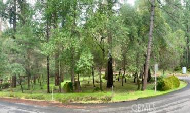 3030 Madrone Drive, Kelseyville, California 95451, ,Land,Buy,3030 Madrone Drive,LC22076071