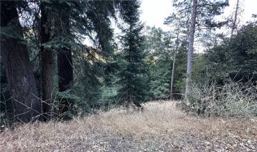 0 Fir, Cedarpines Park, California 92322, ,Land,Buy,0 Fir,ND24050388