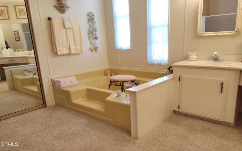 Primary Bath Tub