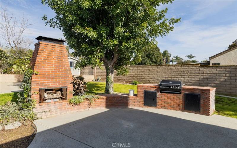 Backyard BBQ and Fireplace