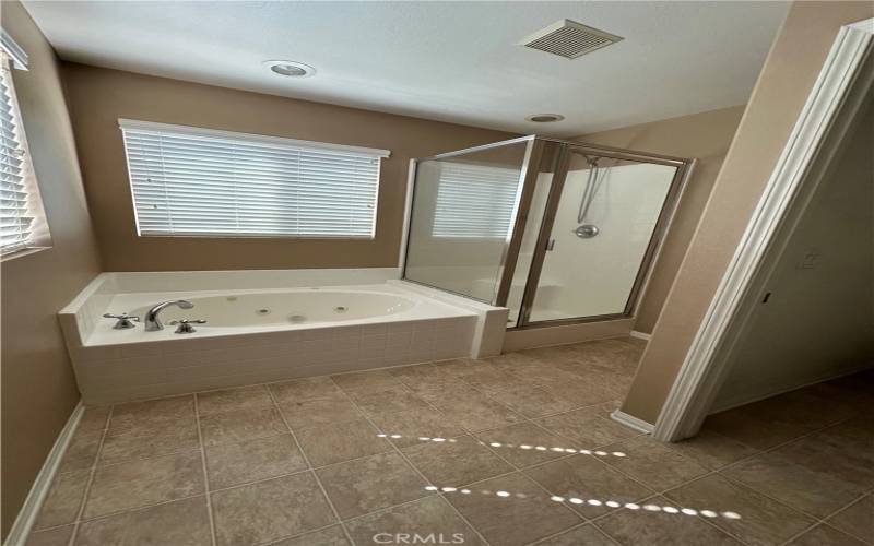 Primary Bath jacuzzi Tub

and Shower
