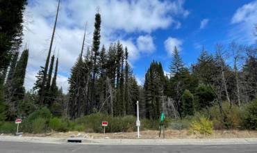 140 Fern Rock Way, Boulder Creek, California 95006, ,Land,Buy,140 Fern Rock Way,ML81945451