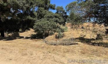 7 Manzanita Road, Menifee, California 92584, ,Land,Buy,7 Manzanita Road,PTP2401420