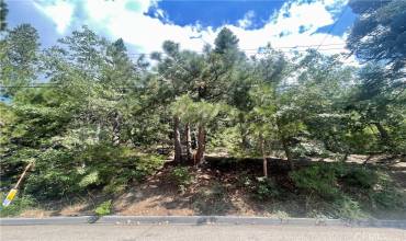 6011 Mountain Home Creek Road, Angelus Oaks, California 92305, ,Land,Buy,6011 Mountain Home Creek Road,EV23173509