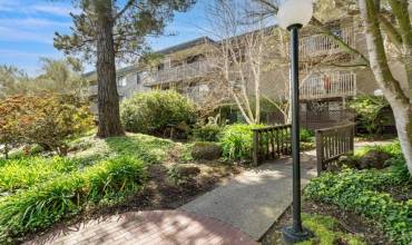 5348 Shelter Creek Lane, San Bruno, California 94066, 1 Bedroom Bedrooms, ,1 BathroomBathrooms,Residential,Buy,5348 Shelter Creek Lane,ML81957792