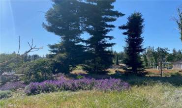 1681 Sweetbriar Lane, Paradise, California 95969, ,Land,Buy,1681 Sweetbriar Lane,SN24053032