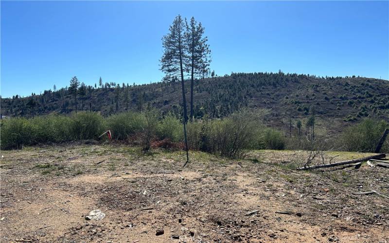 View at top of property, driveway cut-out to the right.