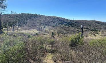 1234 Hog Ranch Rd, Oroville, California 95965, ,Land,Buy,1234 Hog Ranch Rd,PT24051656