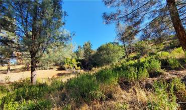 3450 Westridge Circle, Kelseyville, California 95451, ,Land,Buy,3450 Westridge Circle,LC23198740