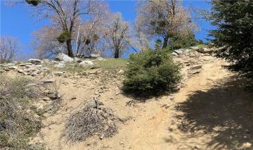 147 Lot 147 Edelweiss Drive, Crestline, California 92325, ,Land,Buy,147 Lot 147 Edelweiss Drive,EV23070803