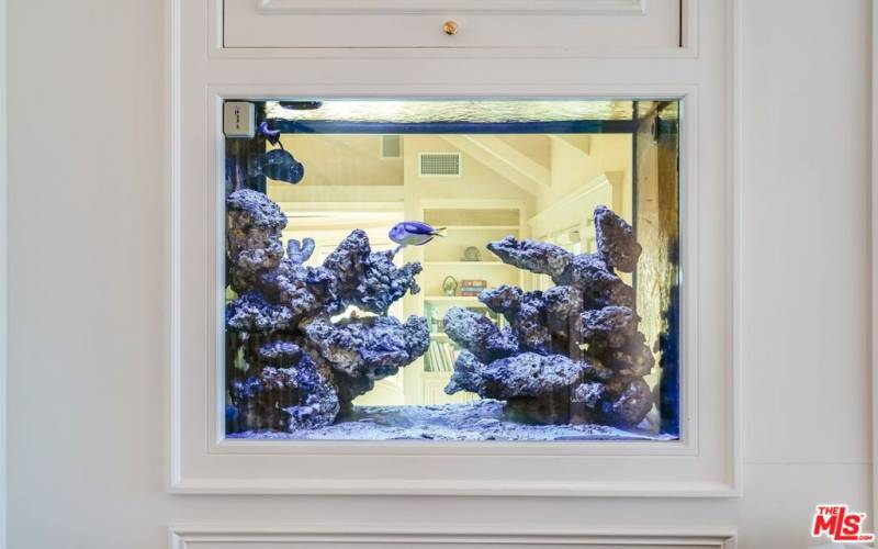 Aquarium between living room and foyer