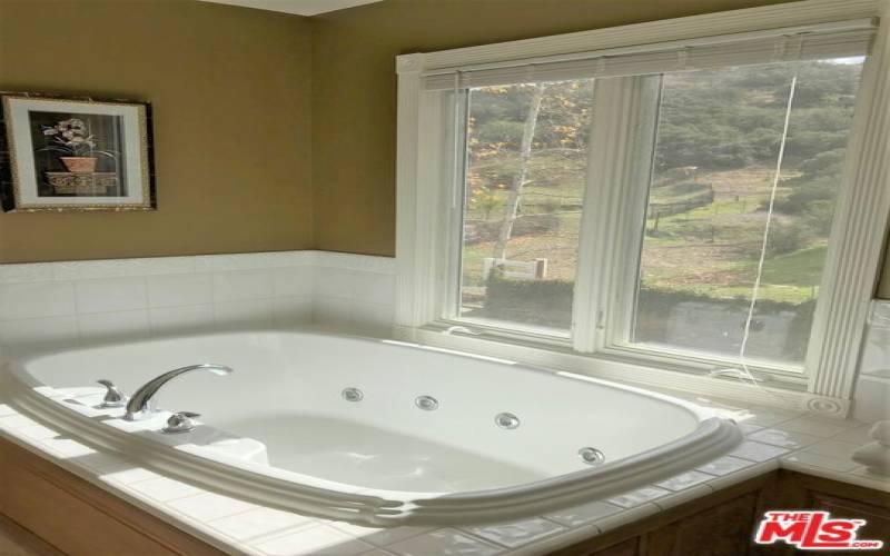 Master suite jetted tub