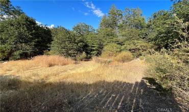 9204 Diamond Dust Trail, Kelseyville, California 95451, ,Land,Buy,9204 Diamond Dust Trail,LC23163658