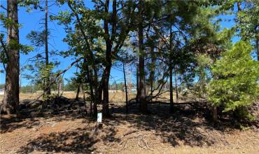 0 S Park Drive S, Magalia, California 95954, ,Land,Buy,0 S Park Drive S,SN23147402