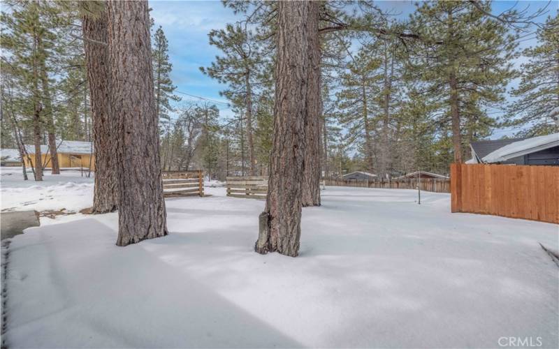 Front yard view facing South.