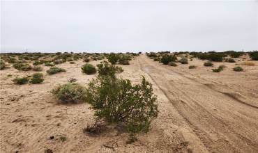 3 AC Near Fairview Road, Newberry Springs, California 92365, ,Land,Buy,3 AC Near Fairview Road,HD24010354