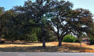 6056 Old Highway 53, Clearlake, California 95422, ,Land,Buy,6056 Old Highway 53,LC23176063