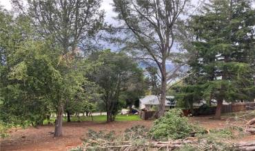 3528 Fircrest Court, Kelseyville, California 95451, ,Land,Buy,3528 Fircrest Court,LC22080866