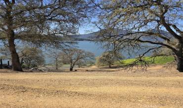 10981 Pingree Road, Clearlake Oaks, California 95423, ,Land,Buy,10981 Pingree Road,LC24057719