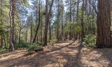 19425 Forbestown Road, Oroville, California 95966, ,Land,Buy,19425 Forbestown Road,OR24056554