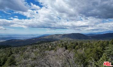 25450 Norwood Drive, Idyllwild, California 92549, ,Land,Buy,25450 Norwood Drive,24371207