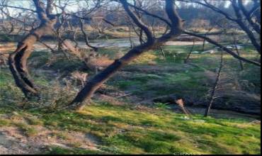 0 Craig Access Rd, Oroville, California 95965, ,Land,Buy,0 Craig Access Rd,OR23179037