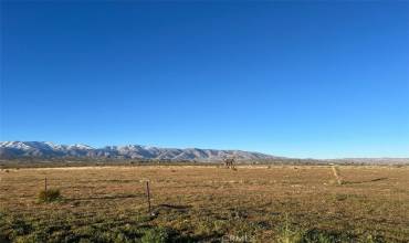 0 Vac/Cor Avenue W4 Drt /175, Llano, California 93544, ,Land,Buy,0 Vac/Cor Avenue W4 Drt /175,SR24058043