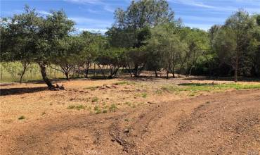 3643 Glebe Road, Kelseyville, California 95451, ,Land,Buy,3643 Glebe Road,LC24058642