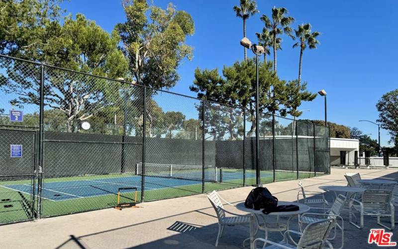 Paddles, pickleball courts