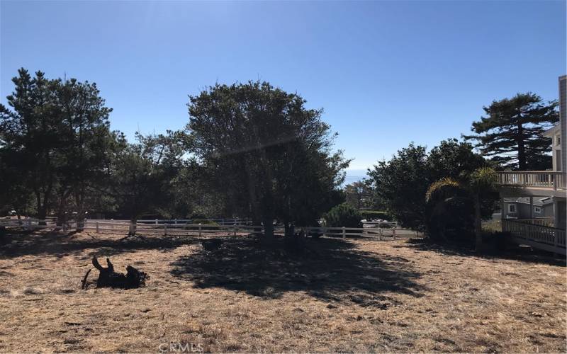 Mostly level +-6000sf lot