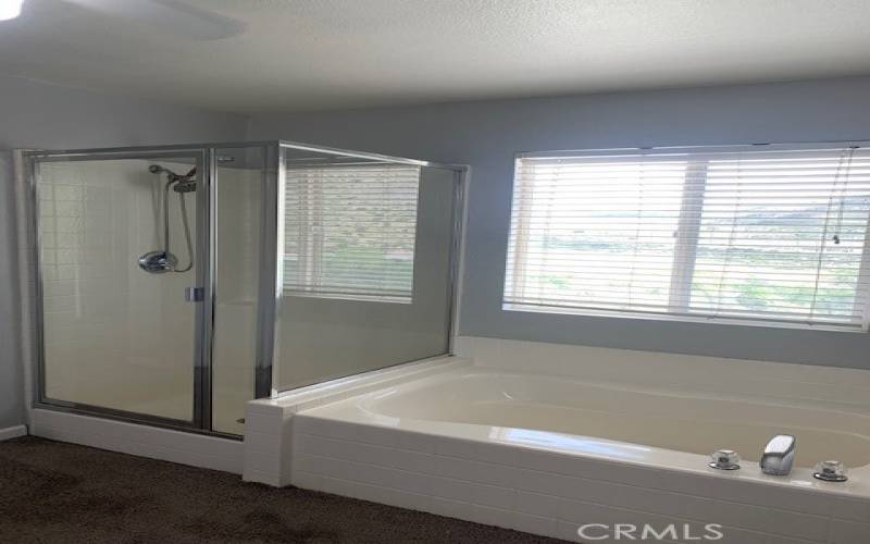 Main Bathroom with separate tub and shower