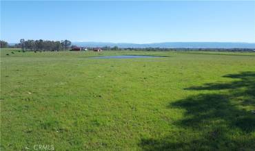 Easterly View from knoll